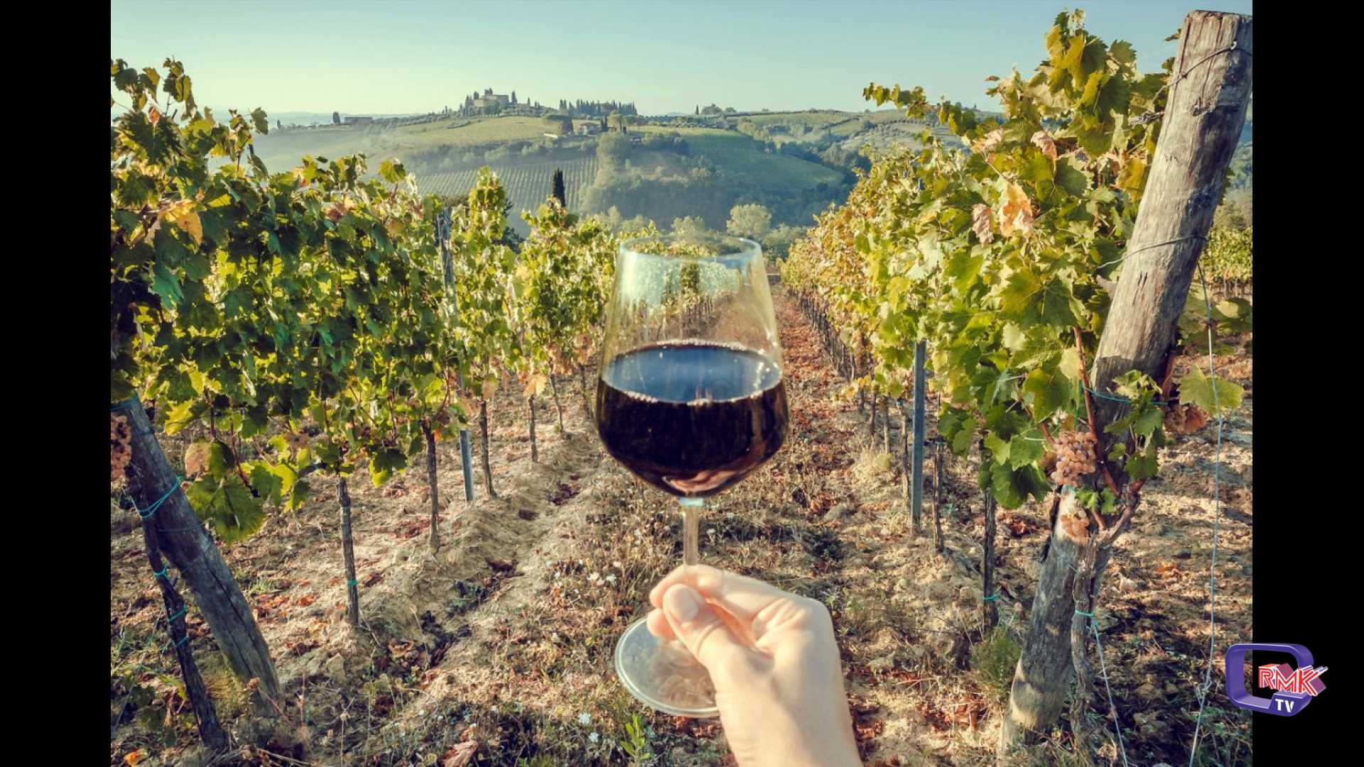 Wine Star Award, Sicilia nominata regione vinicola internazionale 2026